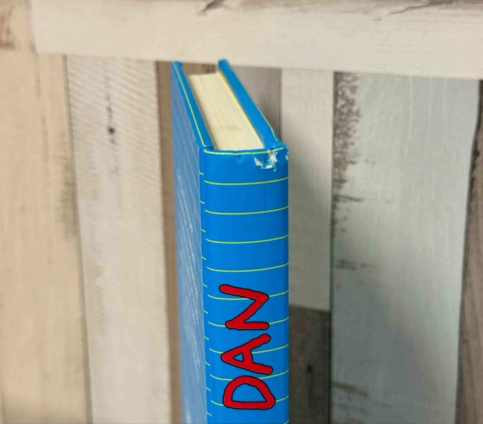 Dan's Diary Books 1 and 2 – photo 6